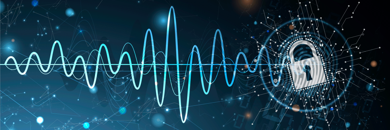 Data Privacy and Protection Assessment in Radio Mining